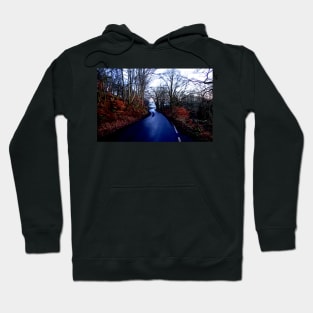 Country lane Hoodie